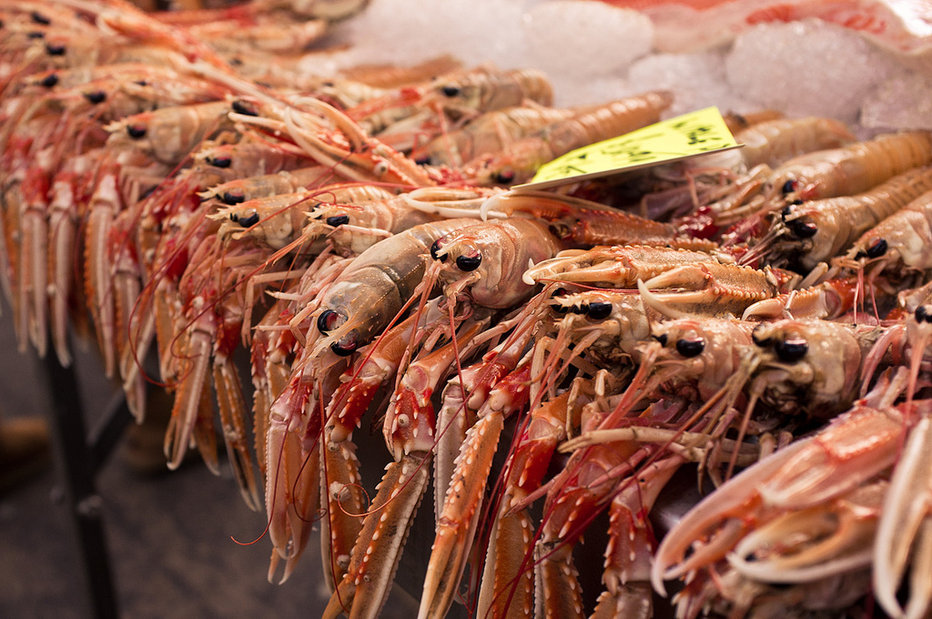 Prawns for Sale