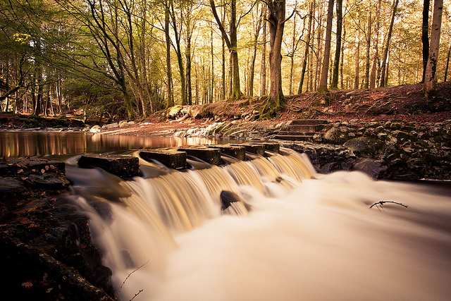 Stepping Stones in Autumn