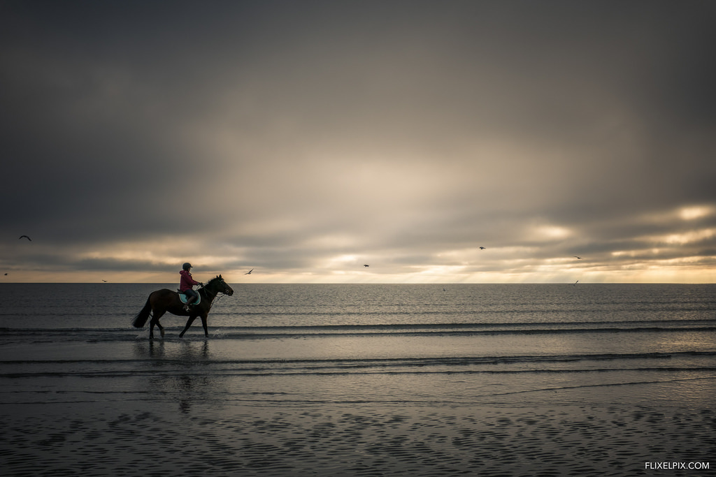 Horses on the Beach - Fujifilm X100F