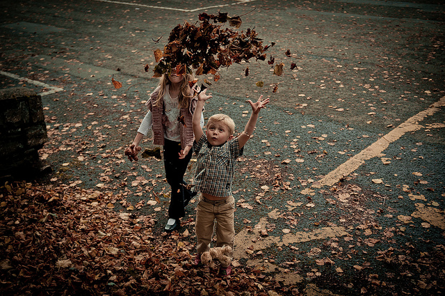 Wet Leaves : Ends Badly (Explore 3 Dec 2011)