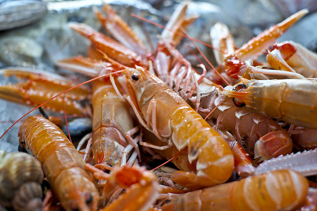 Prawns Macro (X-Pro1) {Explore}