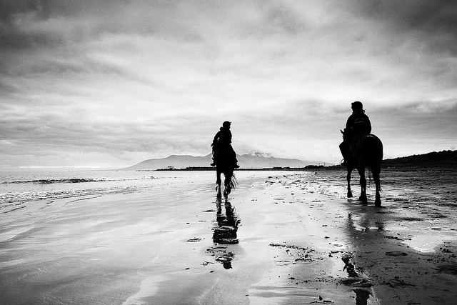 County Down Beach (X-Pro1) {Explore}