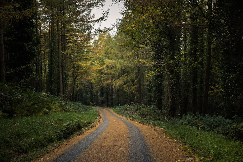 Even the roads are autumnal