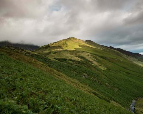 Freedom Through Photography