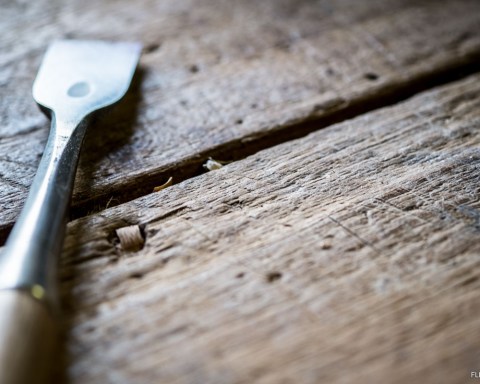 Understanding Depth of Field