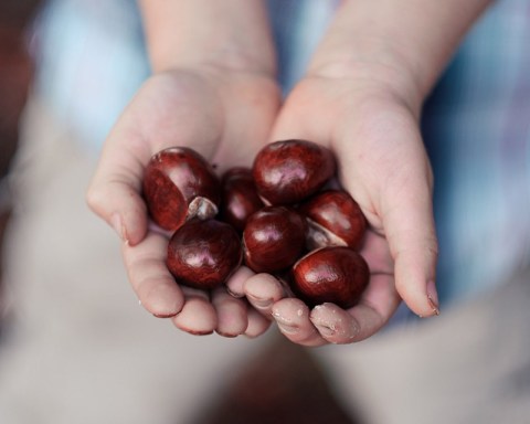 Autumn Fresh - Free Lightroom Preset