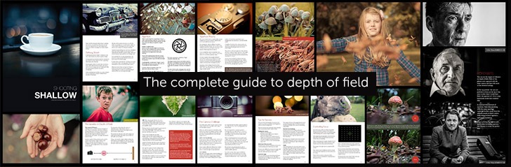 understanding depth of field for photographers