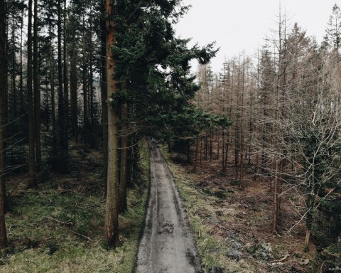 FlixelPix Nature Preset