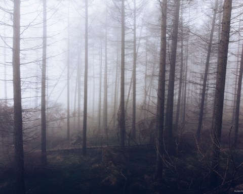 DJI Mavic Air in Fog