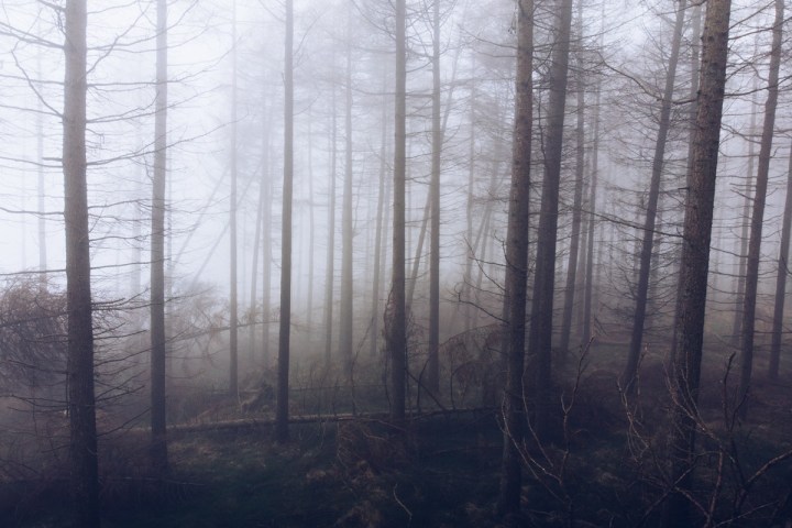 DJI Mavic Air in Fog