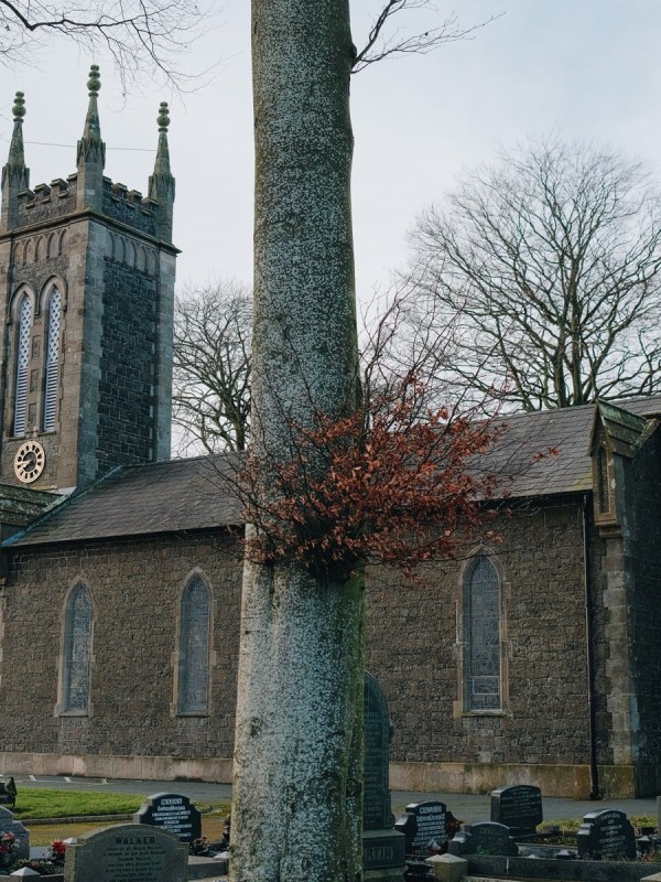 St Matthew's Broomhedge