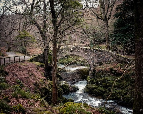 Foley's Bridge over the Shima River,