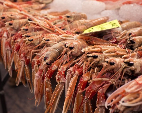 Belfast and the X100