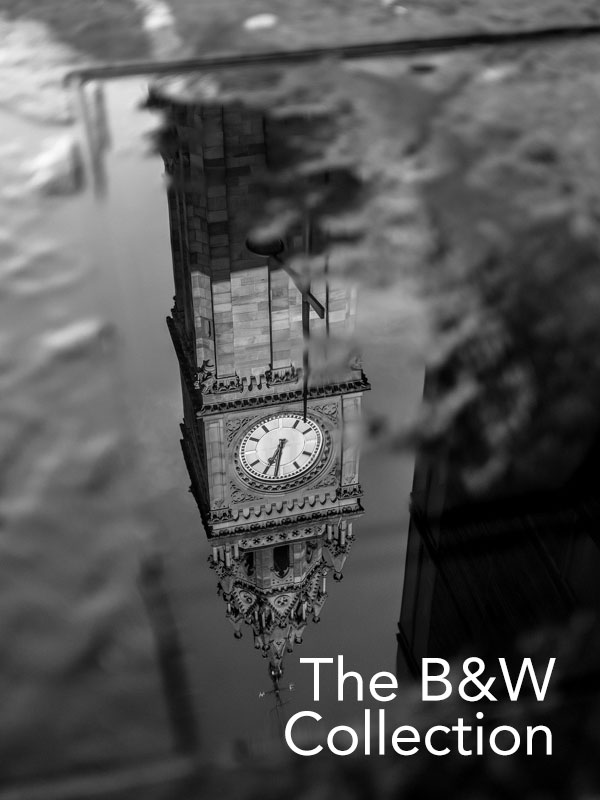 Black and White Lightroom Presets