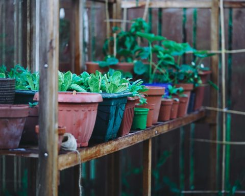 Apple HomeKit Greenhouse