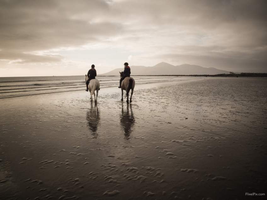 Horses on Tyrella Beach