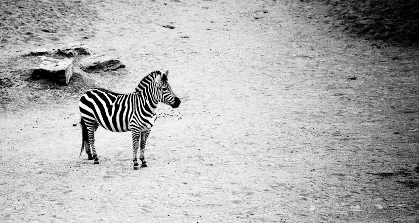 My Favourite Photography eBooks