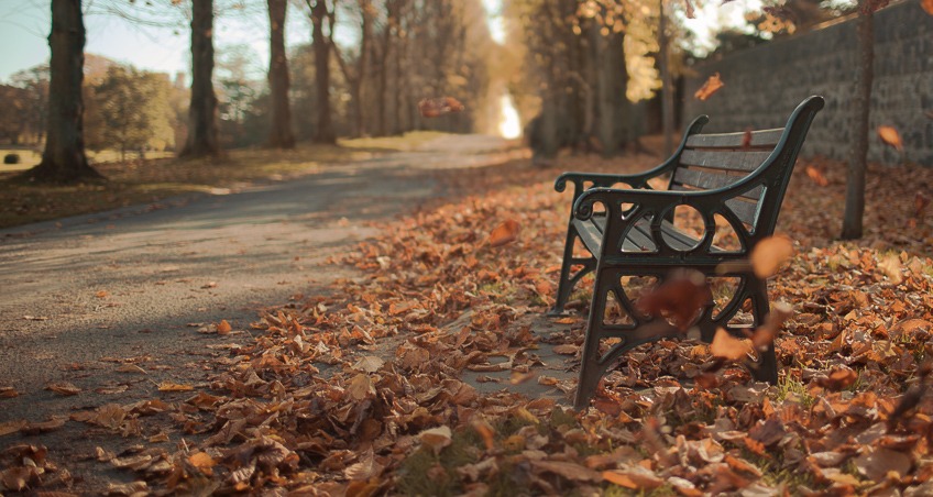 35mm Tops Reader Poll