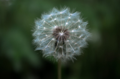 Free Lightroom Presets