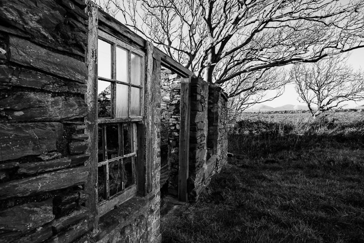 Black and White Ruins