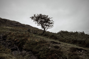 Landscape Photography Tips