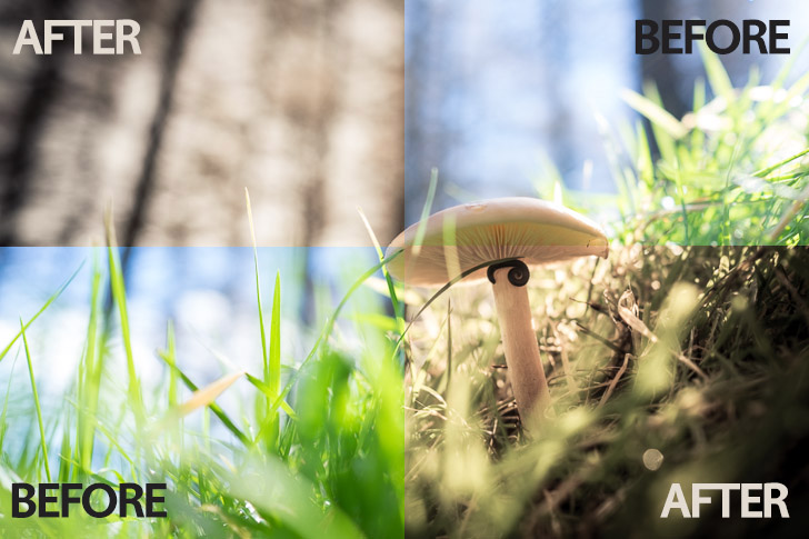 Free Lightroom Preset