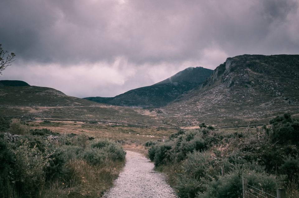 Free Lightroom Preset