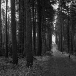 10 Reasons to own a Fujifilm X 10 Reasons to own a Fujifilm X