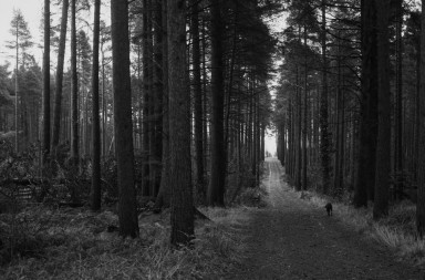 10 reasons to own a fujifilm X