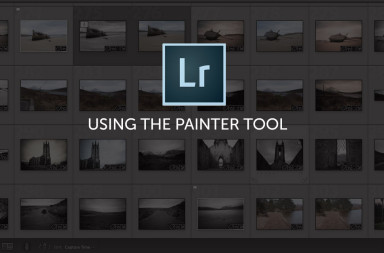 Using Lightroom