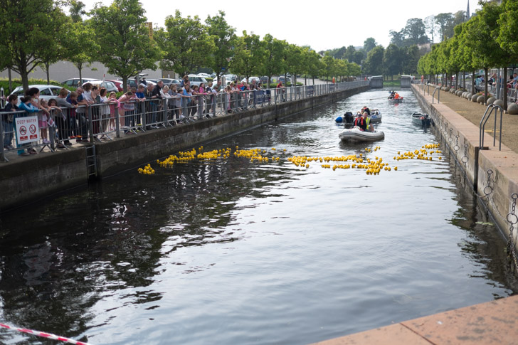 Duck Race