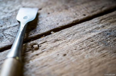 Understanding Depth of Field