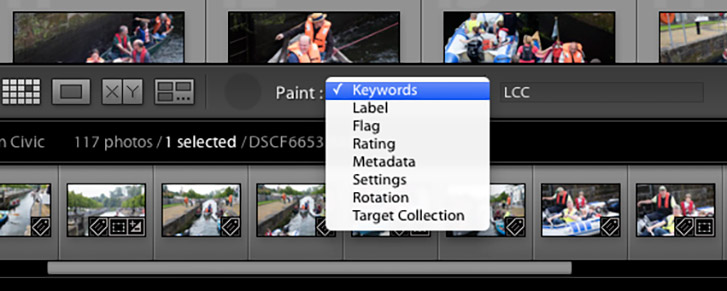 Lightroom Painter Tool