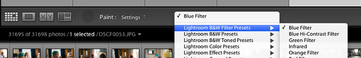 Painting Lightroom Presets