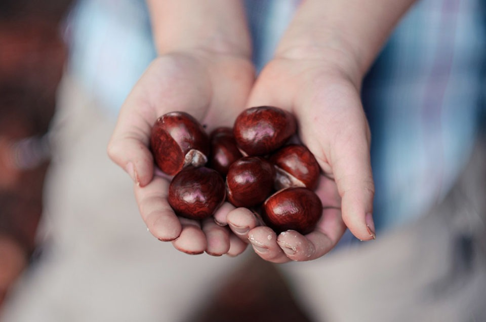 Autumn Fresh - Free Lightroom Preset