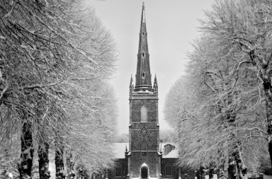 the black and white challenge