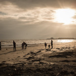 A Photographic Review of 2014 A Photographic Review of 2014