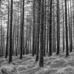 100 Photos taken with the Fujifilm X100 Series 100 Photos taken with the Fujifilm X100 Series