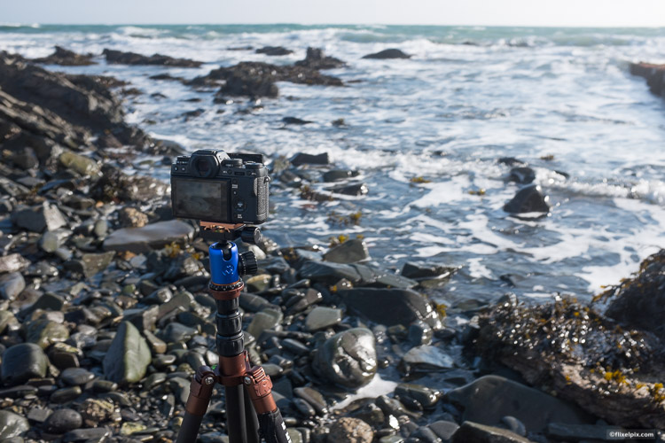 3 Legged Thing, Brian