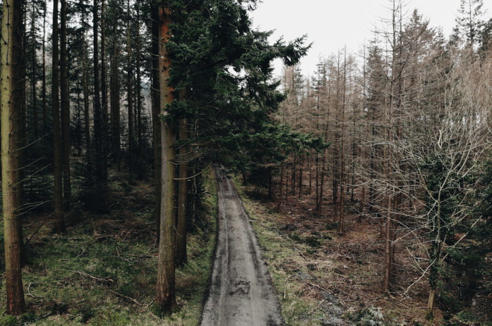 FlixelPix Nature Preset