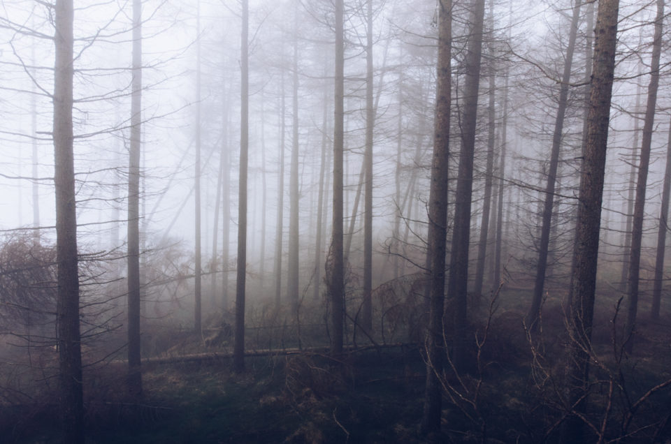 DJI Mavic Air in Fog